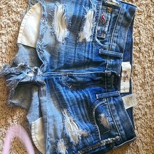Hollister shorts short